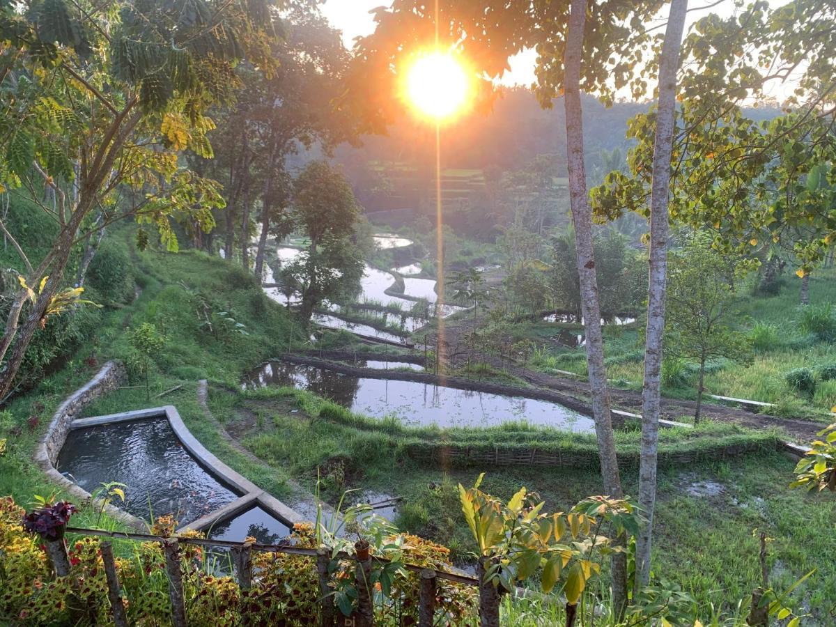 The Alam Tetebatu Bungalow & Restaurant Ngoại thất bức ảnh