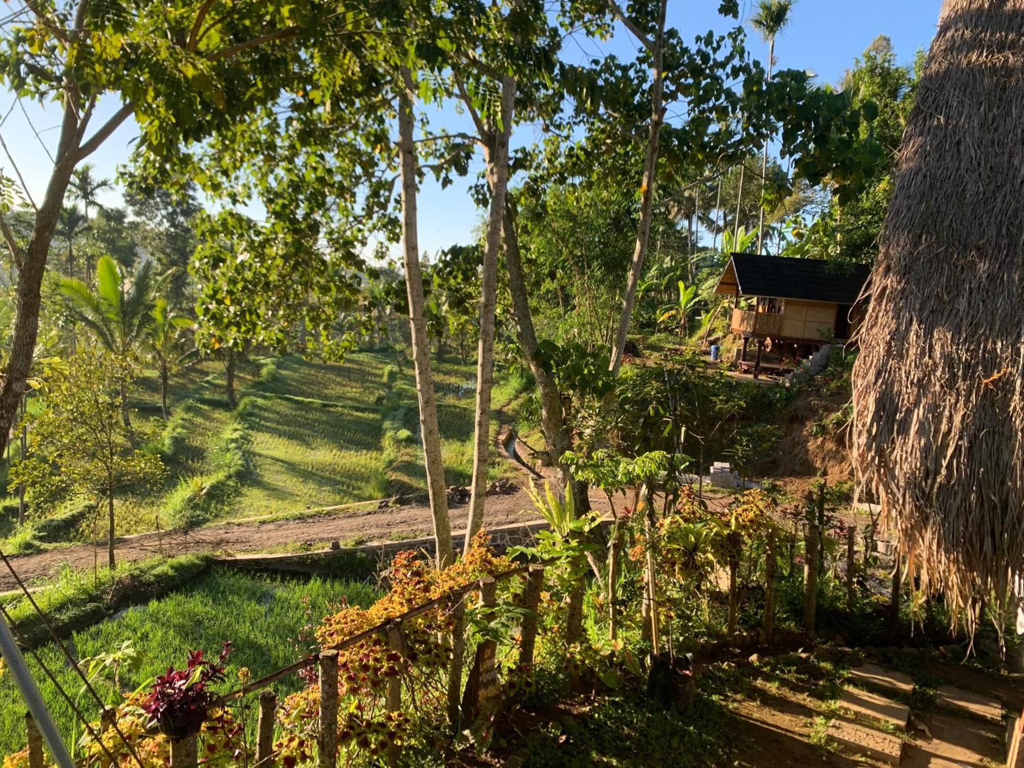 The Alam Tetebatu Bungalow & Restaurant Ngoại thất bức ảnh