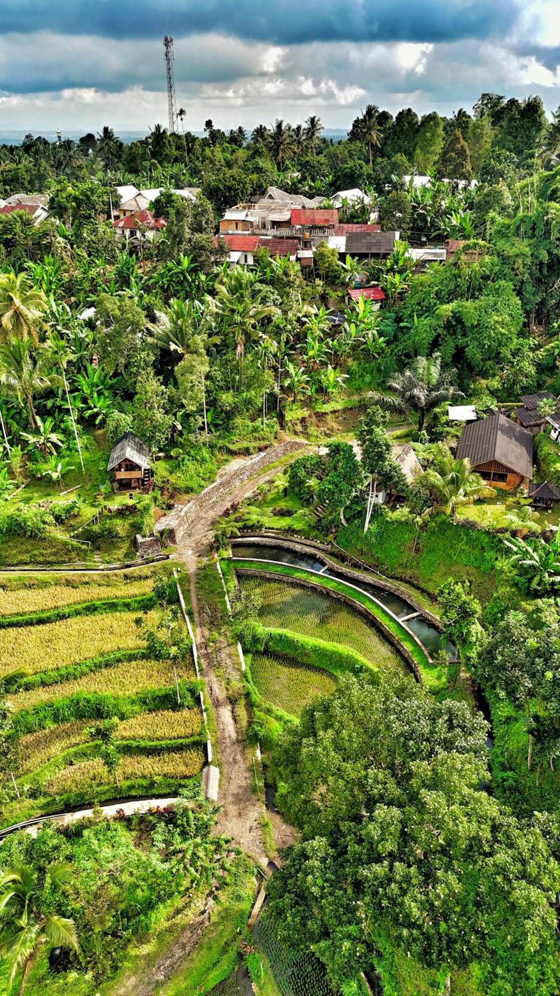 The Alam Tetebatu Bungalow & Restaurant Ngoại thất bức ảnh