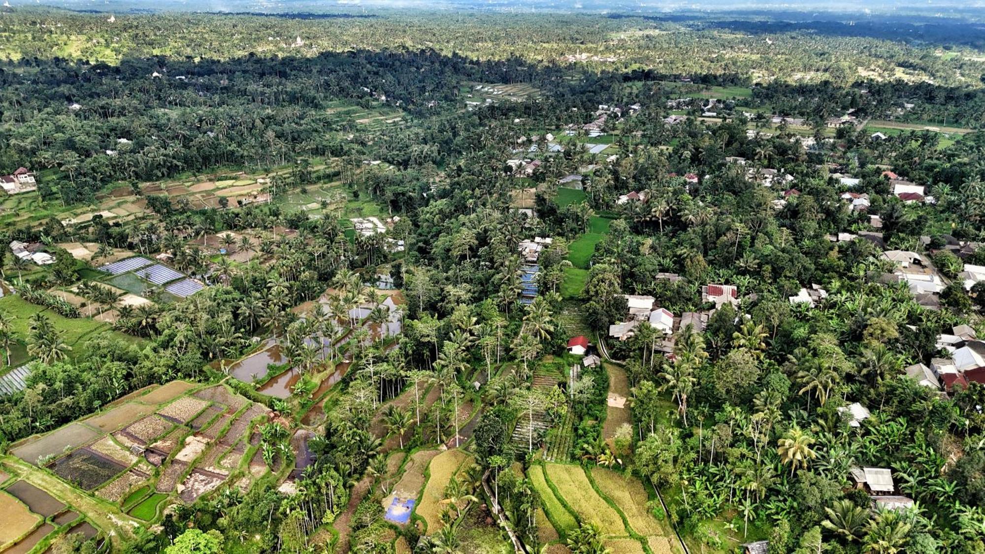 The Alam Tetebatu Bungalow & Restaurant Ngoại thất bức ảnh