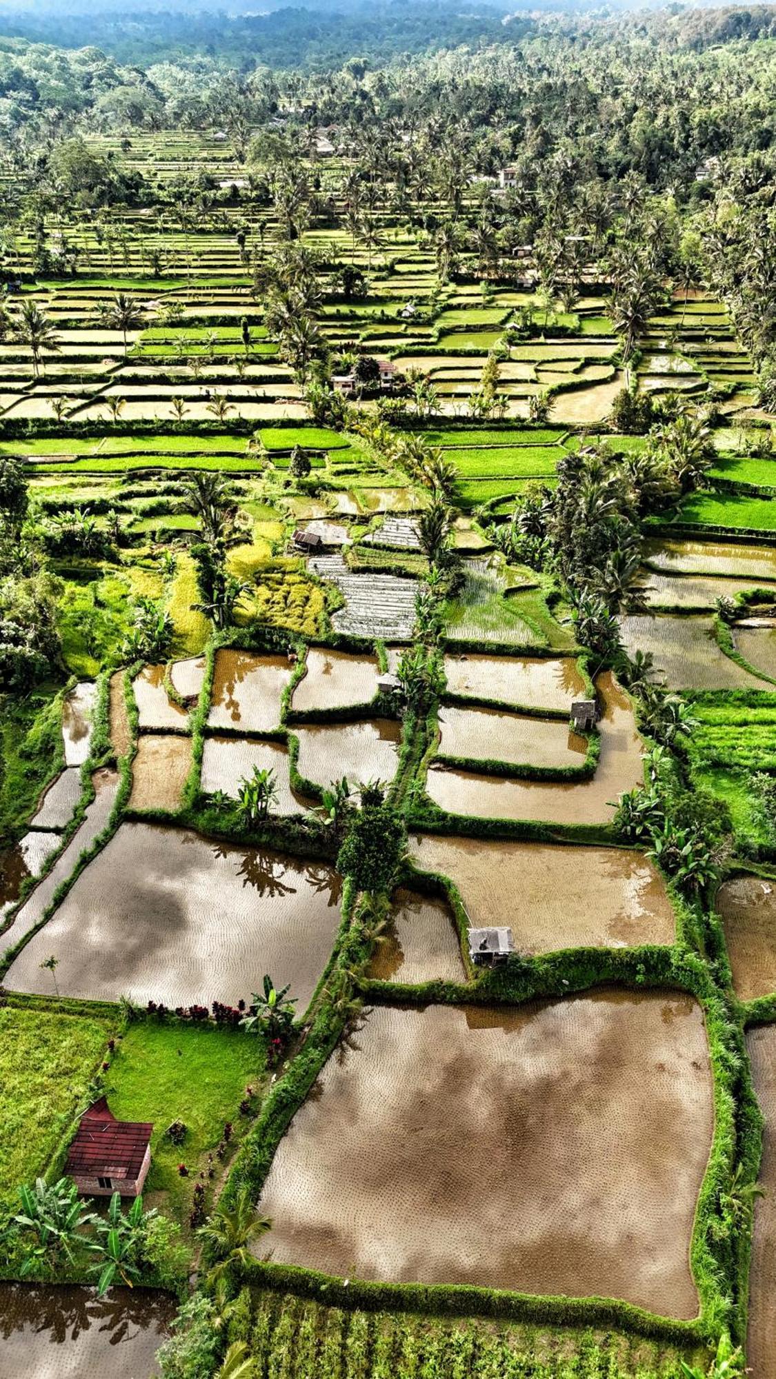 The Alam Tetebatu Bungalow & Restaurant Ngoại thất bức ảnh