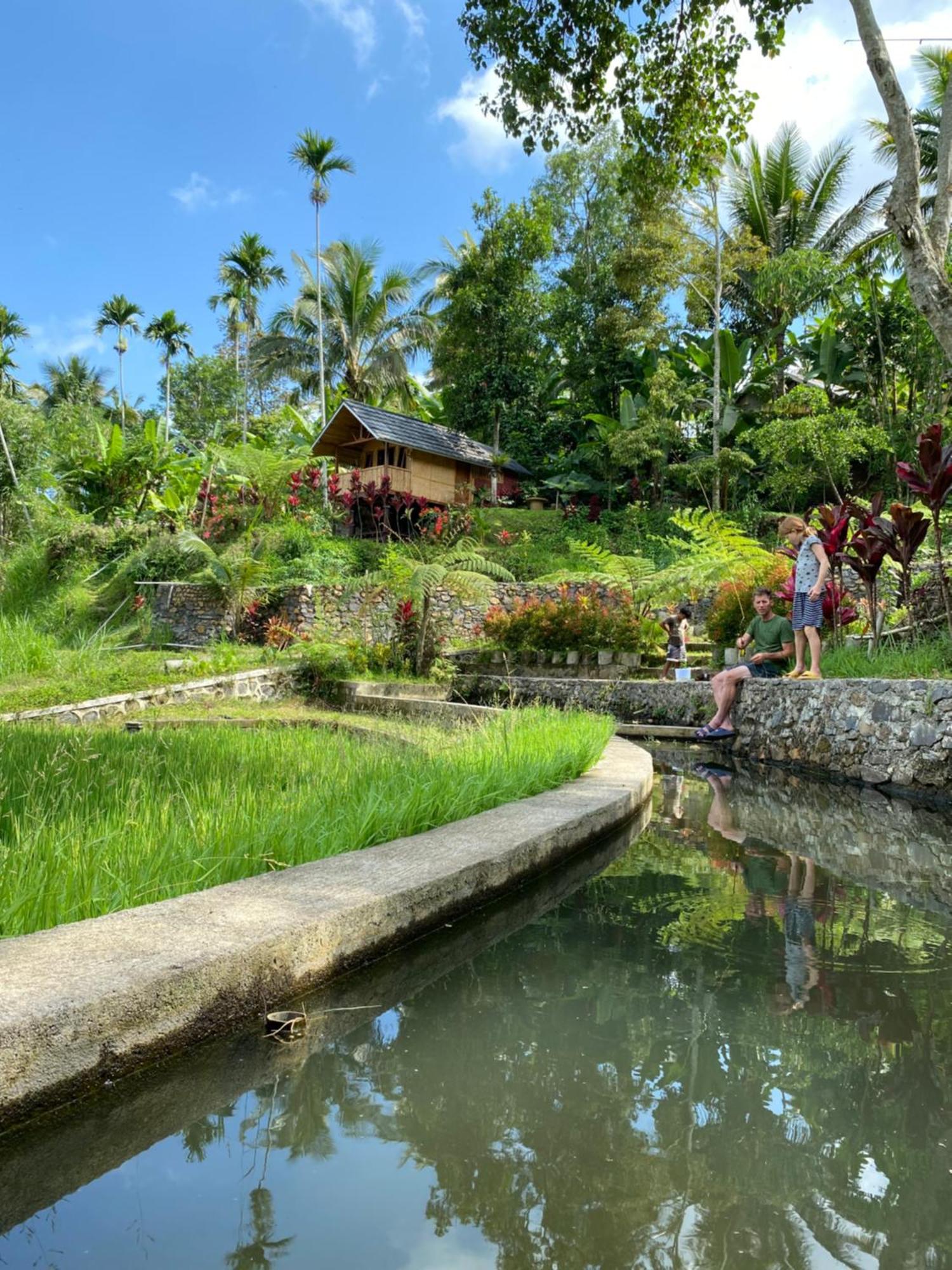 The Alam Tetebatu Bungalow & Restaurant Ngoại thất bức ảnh